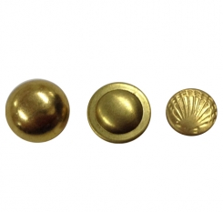 Mushroom Rivet(03)